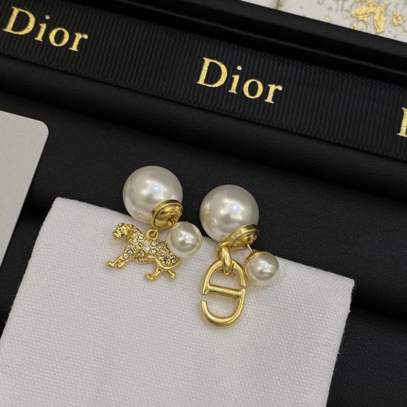 Christian Dior Earrings